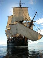 820319362fa3d9fb_200x200ar